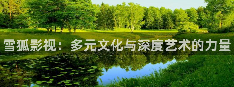 88影视网理论片：雪狐影视：多元文化与深度艺术的力量