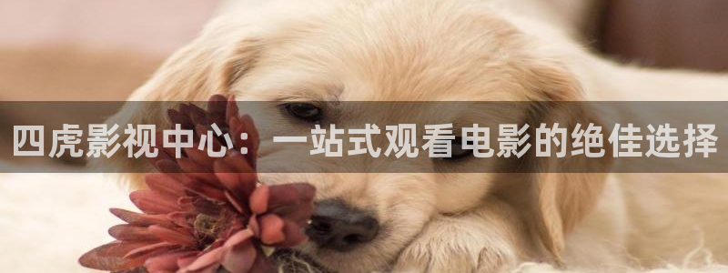 88影院电视剧免费播放：四虎影视中心：一站式观看电影的绝佳选择