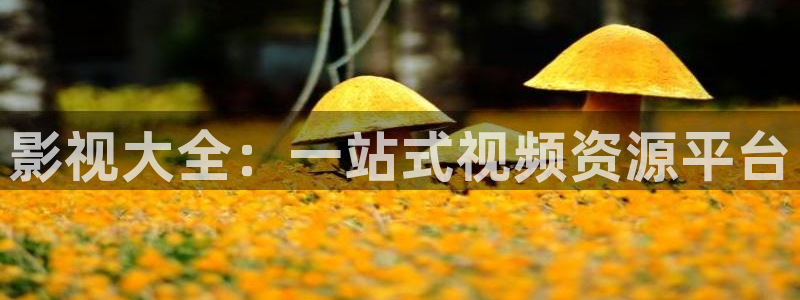 88影视网高清：影视大全：一站式视频资源平台