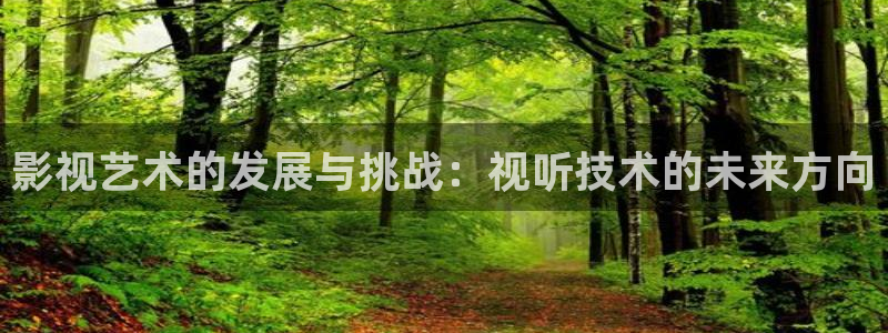 88影视在线观看电视剧：影视艺术的发展与挑战：视听技术的未来方向